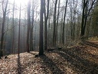 de Wee 16.2.2017 215