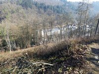 de Wee 16.2.2017 262