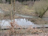 Troisvierges 11.2.2016 063