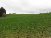 Troisvierges 11.2.2016 084