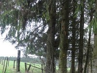Troisvierges 11.2.2016 089