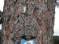 Troisvierges 11.2.2016 091