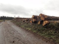 Troisvierges 11.2.2016 095