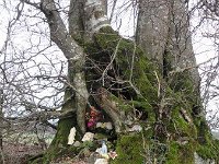 Troisvierges 11.2.2016 112