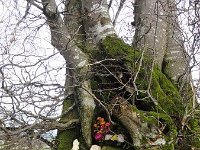 Troisvierges 11.2.2016 113