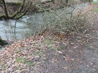 Troisvierges 11.2.2016 199