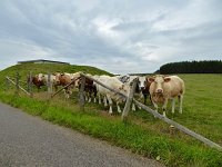 Franziskusweg 2.8.2017 072