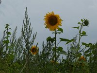 Foto 2 August