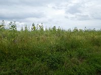 Franziskusweg 2.8.2017 211
