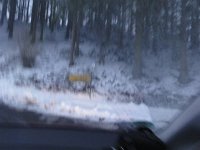 DSC00154