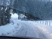 DSC00204