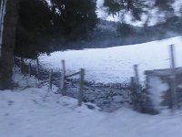 DSC00205