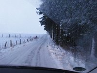 DSC00208