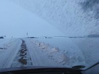 DSC00209