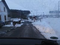 DSC00213