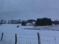 DSC00221
