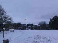 DSC00249