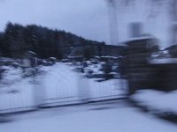 DSC00261
