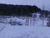 DSC00267