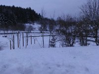 DSC00268