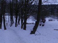 DSC00273