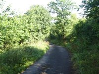 Foto op Munzen 7.7.2017 010