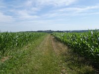 Foto op Munzen 7.7.2017 018