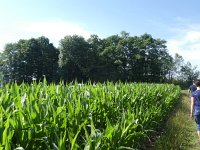 Foto op Munzen 7.7.2017 019