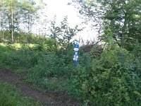 Foto op Munzen 7.7.2017 020