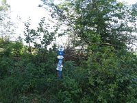 Foto op Munzen 7.7.2017 021
