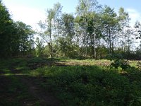 Foto op Munzen 7.7.2017 022