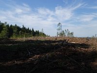 Foto op Munzen 7.7.2017 023