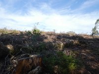 Foto op Munzen 7.7.2017 025