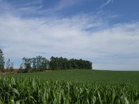Foto op Munzen 7.7.2017 035