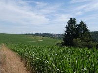 Foto op Munzen 7.7.2017 037