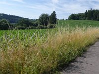 Foto op Munzen 7.7.2017 040