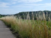 Foto op Munzen 7.7.2017 041