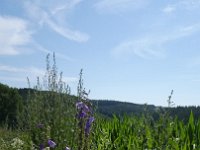 Foto op Munzen 7.7.2017 043