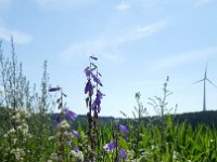 Foto op Munzen 7.7.2017 044
