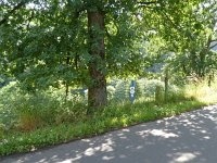 Foto op Munzen 7.7.2017 049