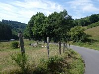 Foto op Munzen 7.7.2017 053