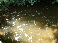Foto op Munzen 7.7.2017 059