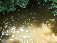 Foto op Munzen 7.7.2017 060