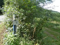 Foto op Munzen 7.7.2017 063