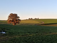 Redange 13.11.2018 007