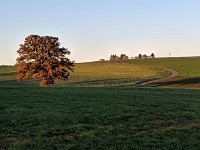Redange 13.11.2018 008