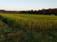 Redange 13.11.2018 009