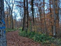 Redange 13.11.2018 021