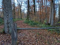 Redange 13.11.2018 022