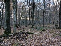Redange 13.11.2018 023